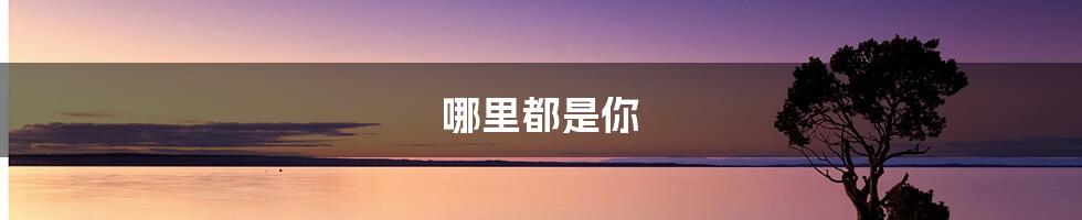 哪里都是你