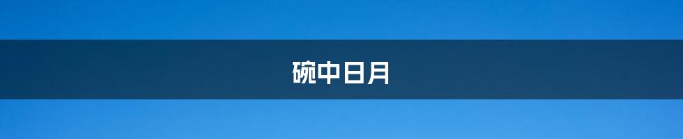 碗中日月