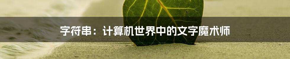 字符串:计算机世界中的文字魔术师