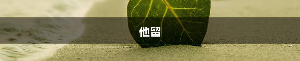 他留