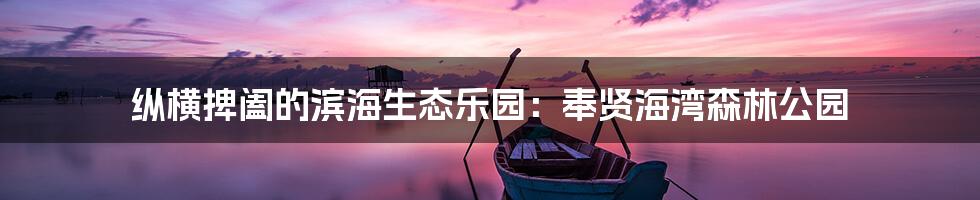 纵横捭阖的滨海生态乐园:奉贤海湾森林公园