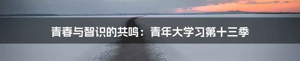 青春与智识的共鸣:青年大学习第十三季