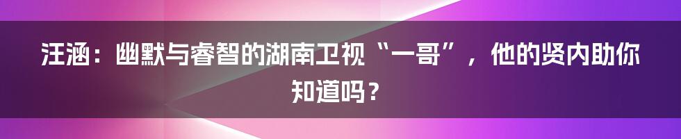汪涵:幽默与睿智的湖南卫视“一哥”,他的贤内助你知道吗?