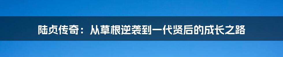 陆贞传奇:从草根逆袭到一代贤后的成长之路