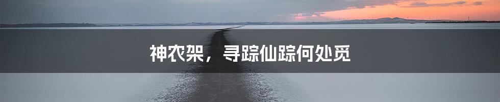 神农架,寻踪仙踪何处觅