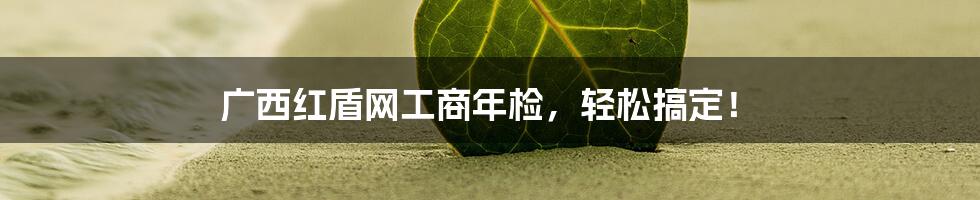 广西红盾网工商年检，轻松搞定！