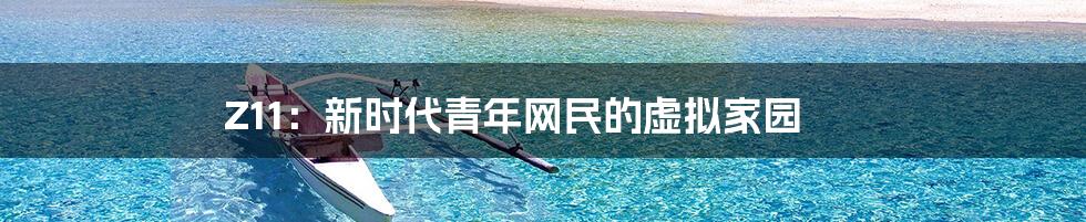 Z11：新时代青年网民的虚拟家园