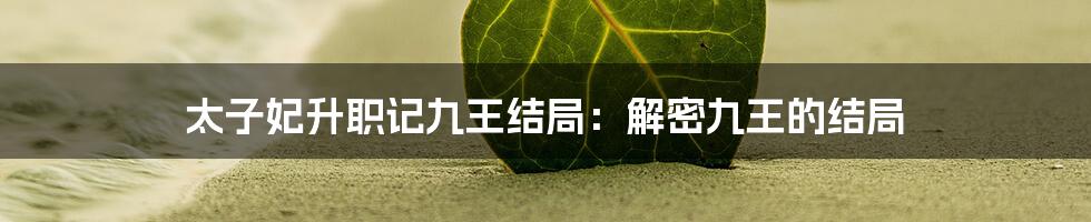 太子妃升职记九王结局:解密九王的结局