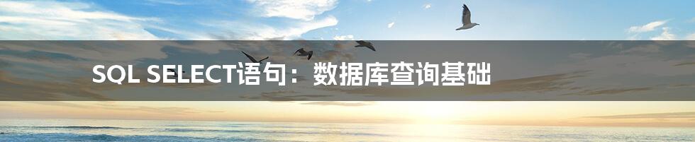 SQL SELECT语句:数据库查询基础