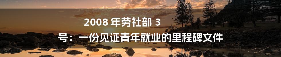 2008 年劳社部 3 号:一份见证青年就业的里程碑文件