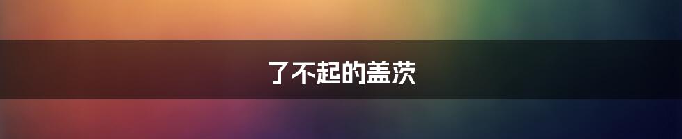 了不起的盖茨