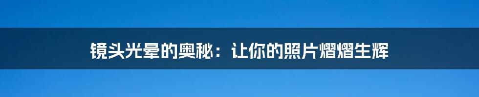 镜头光晕的奥秘:让你的照片熠熠生辉