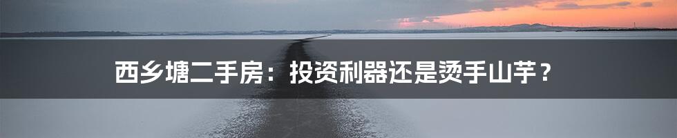 西乡塘二手房：投资利器还是烫手山芋？