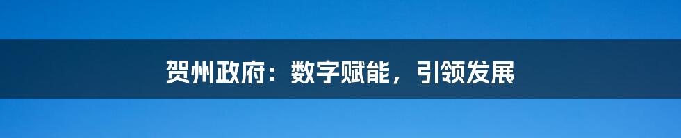 贺州政府:数字赋能,引领发展