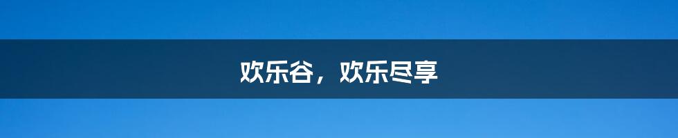 欢乐谷，欢乐尽享