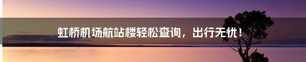 虹桥机场航站楼轻松查询,出行无忧!