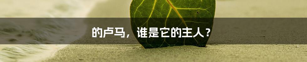 的卢马,谁是它的主人?