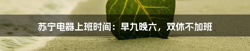 苏宁电器上班时间：早九晚六，双休不加班