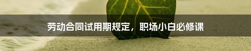 劳动合同试用期规定，职场小白必修课