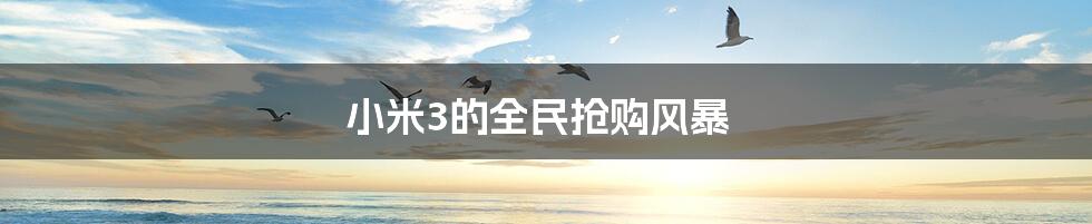小米3的全民抢购风暴