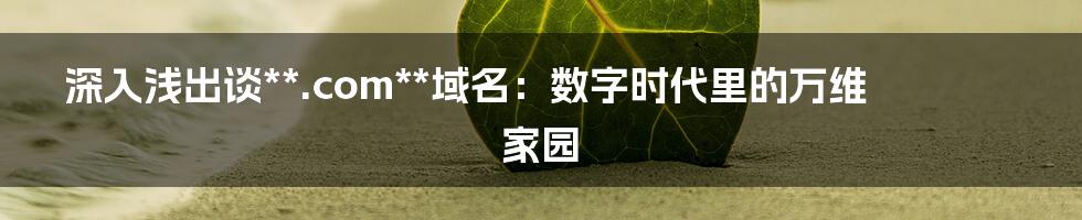 深入浅出谈**.com**域名：数字时代里的万维家园