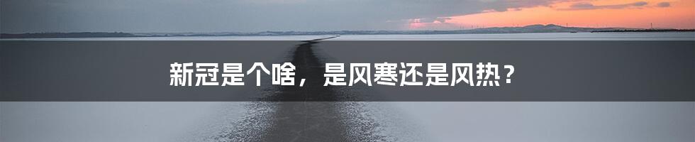 新冠是个啥，是风寒还是风热？