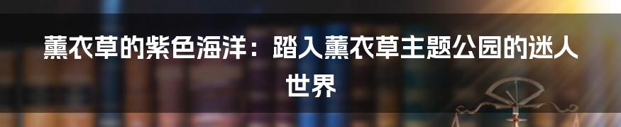 薰衣草的紫色海洋:踏入薰衣草主题公园的迷人世界