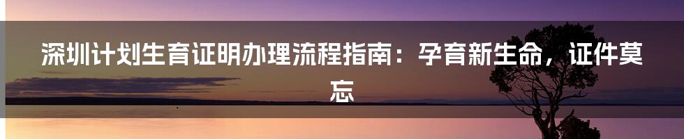 深圳计划生育证明办理流程指南:孕育新生命,证件莫忘