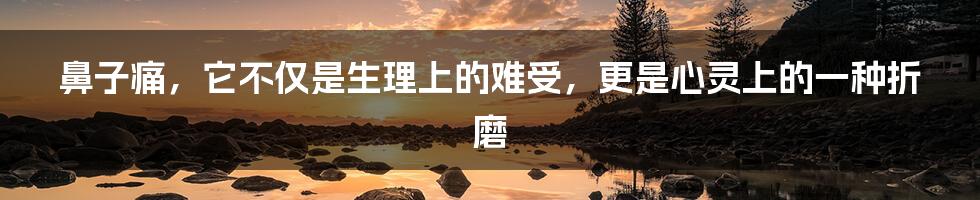 鼻子痛,它不仅是生理上的难受,更是心灵上的一种折磨