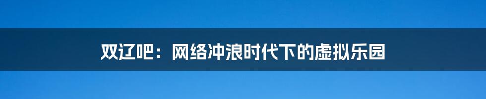 双辽吧:网络冲浪时代下的虚拟乐园