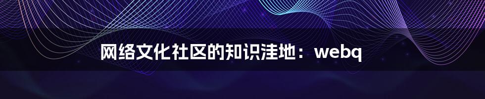 网络文化社区的知识洼地:webq