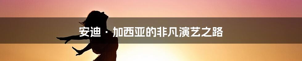 安迪·加西亚的非凡演艺之路