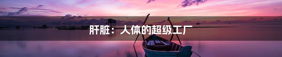 肝脏:人体的超级工厂