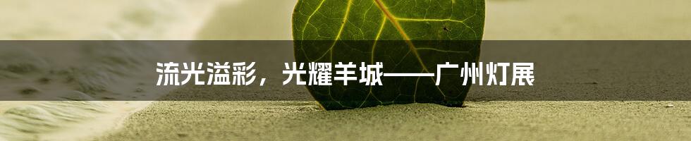 流光溢彩,光耀羊城——广州灯展