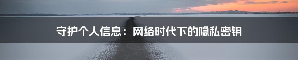守护个人信息:网络时代下的隐私密钥