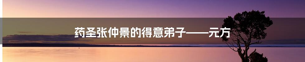 药圣张仲景的得意弟子——元方