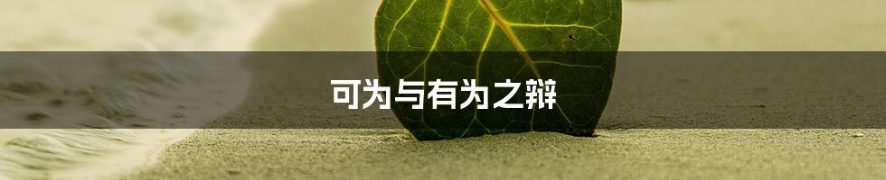 可为与有为之辩