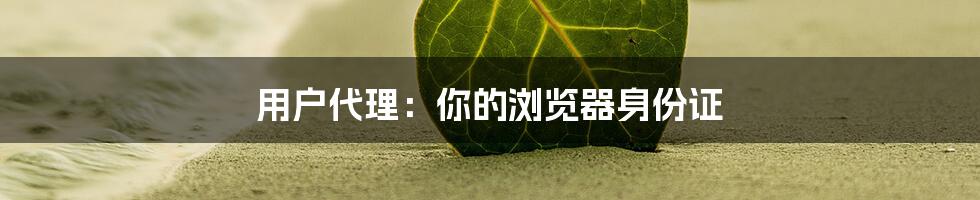 用户代理：你的浏览器身份证