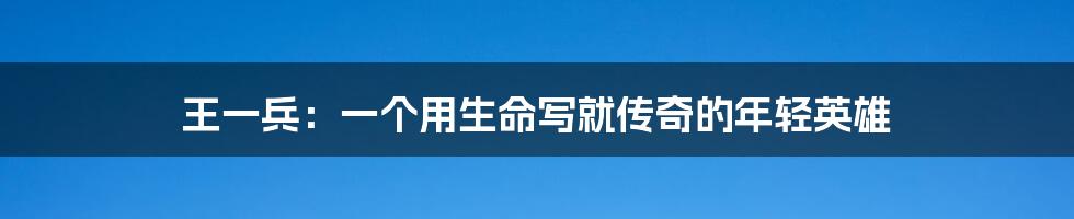王一兵:一个用生命写就传奇的年轻英雄