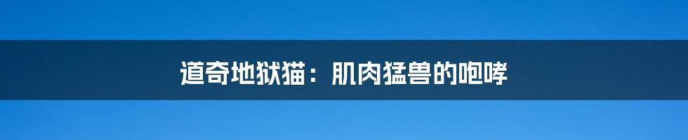 道奇地狱猫:肌肉猛兽的咆哮