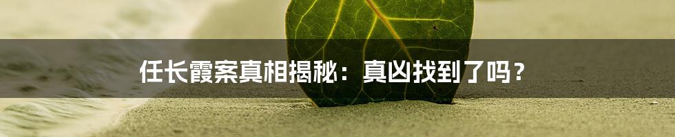 任长霞案真相揭秘:真凶找到了吗?