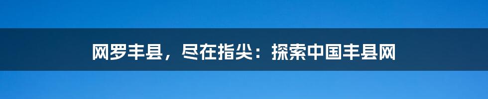 网罗丰县，尽在指尖：探索中国丰县网