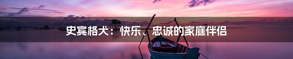 史宾格犬：快乐、忠诚的家庭伴侣