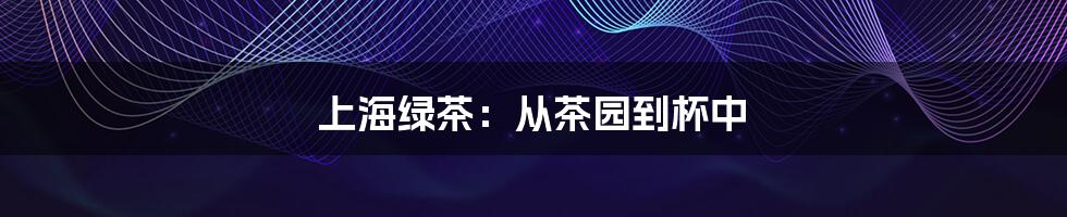 上海绿茶:从茶园到杯中