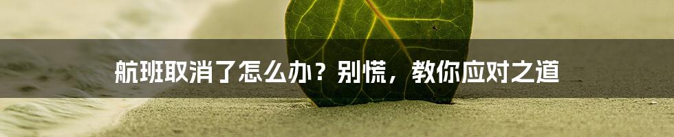 航班取消了怎么办？别慌，教你应对之道