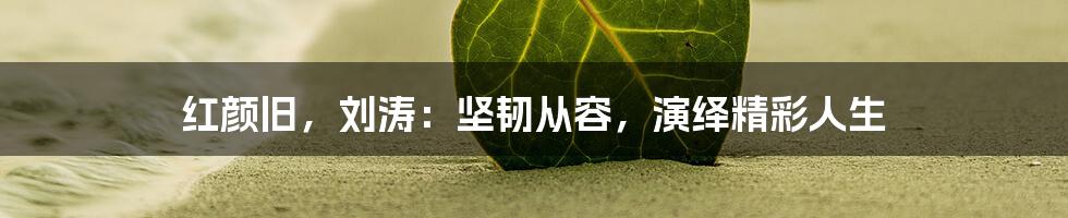 红颜旧,刘涛:坚韧从容,演绎精彩人生