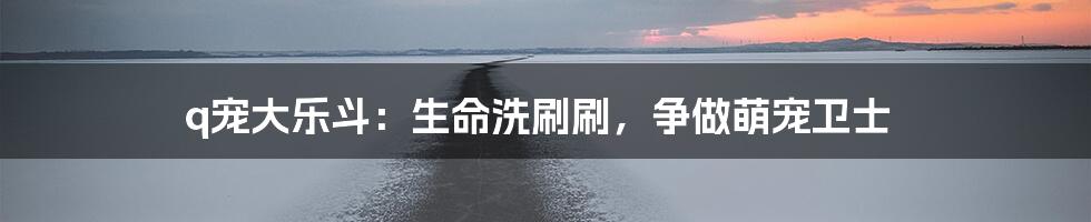 q宠大乐斗:生命洗刷刷,争做萌宠卫士
