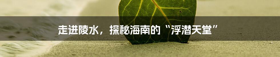 走进陵水，探秘海南的“浮潜天堂”