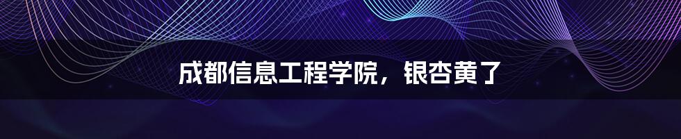 成都信息工程学院,银杏黄了