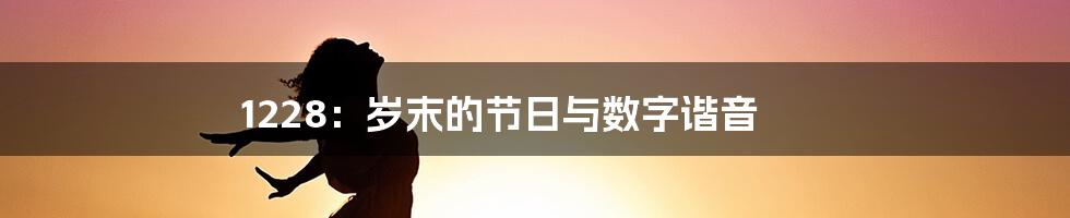 1228：岁末的节日与数字谐音